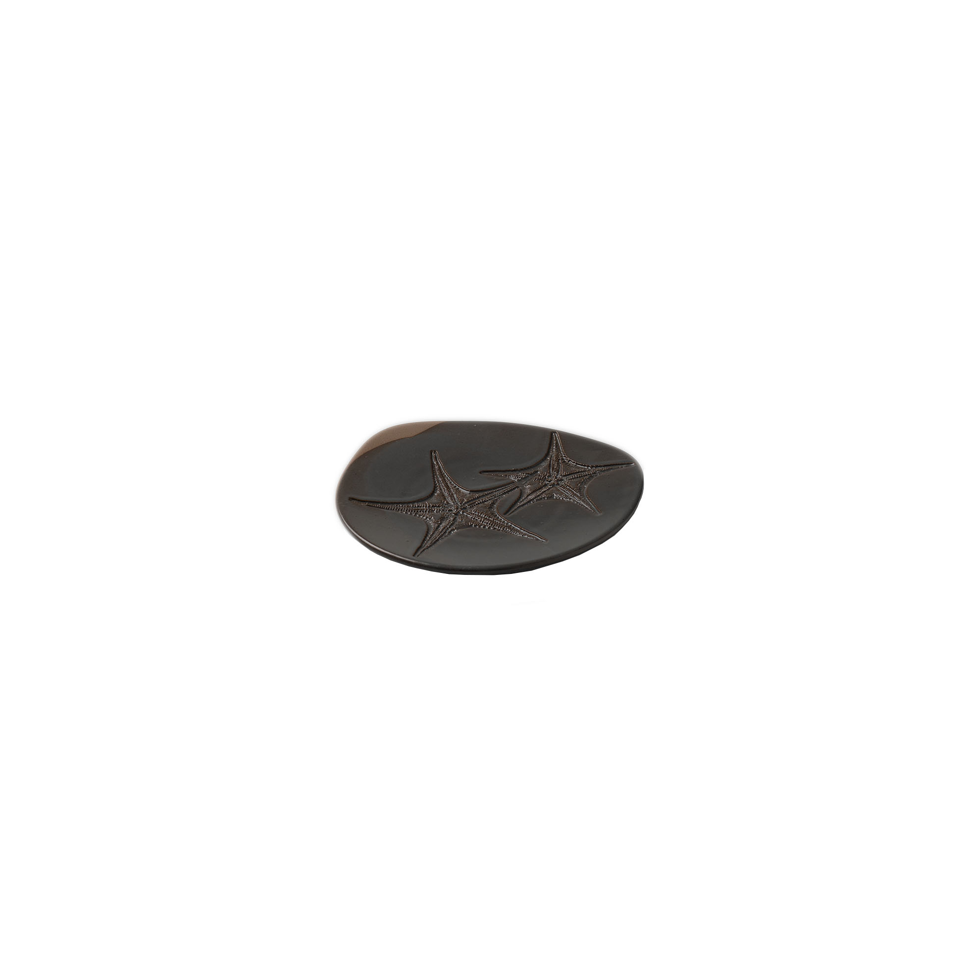 Fossil Plato Estrella de mar 17cm Piedra | Caja 6 Unidades